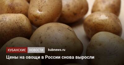 Коснется каждого: самый важный продукт подорожает почти в 2 раза - kubnews.ru - Россия