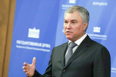 Вячеслав Володин - Эльвира Набиуллина - Депутаты поддержат поправки об ограничении ставок микрозаймов, заявил Володин - pnp.ru - Россия