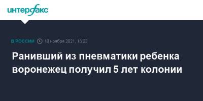 Ранивший из пневматики ребенка воронежец получил 5 лет колонии - interfax.ru - Москва - Россия - Воронеж
