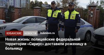 Новая жизнь: полицейские федеральной территории «Сириус» доставили роженицу в больницу - kubnews.ru - Краснодарский край