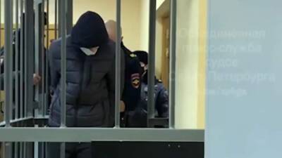 В Петербурге арестовали обвиняемого в убийстве и расчленении отца мужчину - iz.ru - Санкт-Петербург - Израиль