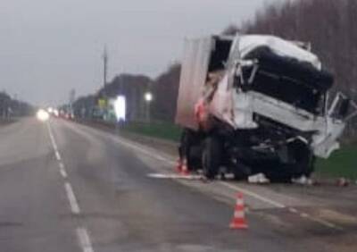 На трассе М6 в Рязанской области столкнулись три большегруза - ya62.ru - Москва - Рязанская обл.