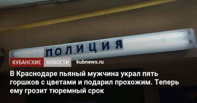 В Краснодаре пьяный мужчина украл пять горшков с цветами и подарил прохожим. Теперь ему грозит тюремный срок - kubnews.ru - Россия - Краснодарский край - Краснодар - Кореновск