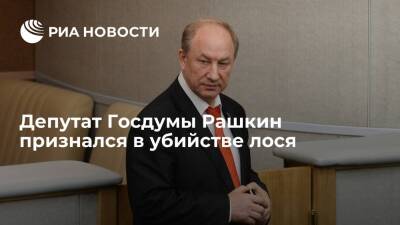 Вячеслав Володин - Валерий Рашкин - Депутат Госдумы от КПРФ Рашкин, подозреваемый в убийстве лося, признал, что стрелял в него - ria.ru - Москва - Россия - Саратовская обл.