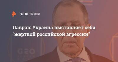 Владимир Путин - Сергей Лавров - Лавров: Украина выставляет себя "жертвой российской агрессии" - ren.tv - Россия - Украина