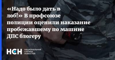 «Надо было дать в лоб!» В профсоюзе полиции оценили наказание пробежавшему по машине ДПС блогеру - nsn.fm - Москва - округ Северо-Восточный, Москва