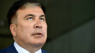 Михаил Саакашвили - Бек Басилая - Бывший президент Грузии Михаил Саакашвили потерял сознание на 49 день голодовки - svoboda.org - Грузия