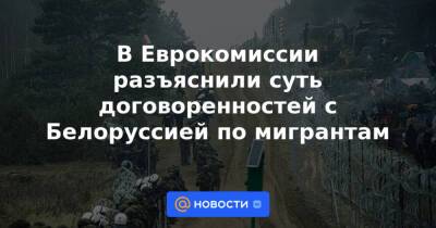 Александр Лукашенко - Петер Стано - В Еврокомиссии разъяснили суть договоренностей с Белоруссией по мигрантам - news.mail.ru - Белоруссия - Польша