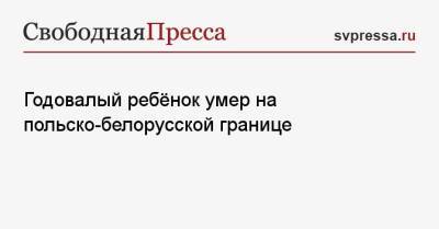 Годовалый ребёнок умер на польско-белорусской границе - svpressa.ru - Москва - Сирия - Германия - Польша