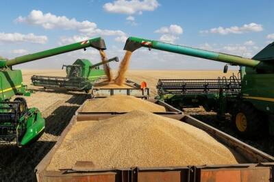 «20 идей Давыдова»: как сделать прибыльным сельское хозяйство - infox.ru - Россия - США - Крым - Израиль