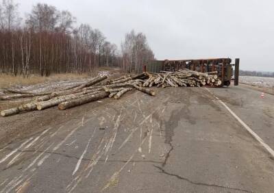 В Кадомском районе опрокинулся лесовоз - ya62.ru