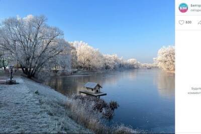 Жители облцентра поделились кадрами морозного Белгорода - mk.ru - Белгородская обл. - Белгород
