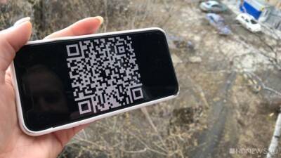 Максут Шадаев - QR-коды будут проверяться только официальным приложением - newdaynews.ru - Россия
