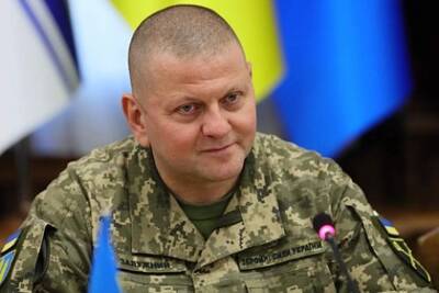 Валерий Залужный - Киев обсудил с Турцией создание группы беспилотной авиации в украинской армии - lenta.ru - Украина - Киев - Турция - Анкара