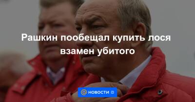 Валерий Рашкин - Рашкин пообещал купить лося взамен убитого - news.mail.ru - Саратовская обл.