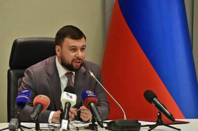 Владимир Путин - Денис Пушилин - Глава ДНР рассказал, какие товары республика может экспортировать в Россию - pnp.ru - Россия - ДНР - Донецкая обл.