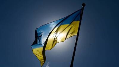 Посла Украины осудили в Раде за обвинения в «голодоморе» в адрес Германии - inforeactor.ru - Украина - Германия - Twitter