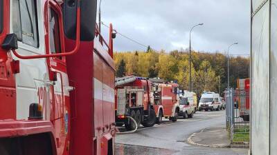 Пожар произошел в столичном приюте для собак - vm.ru - Москва