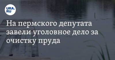 На пермского депутата завели уголовное дело за очистку пруда - ura.news - Пермь - Пермский край