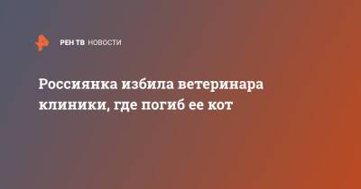 Россиянка избила ветеринара клиники, где погиб ее кот - ren.tv - Новосибирск