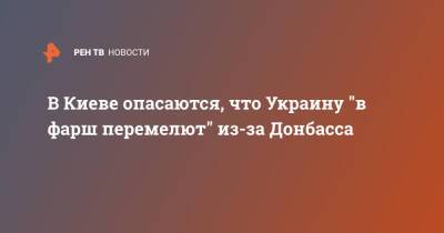 Павел Климкин - В Киеве опасаются, что Украину "в фарш перемелют" из-за Донбасса - ren.tv - Украина - Киев - Донбасс