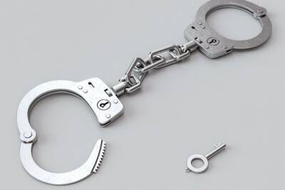 СК возбудил уголовное дело после грубого задержания 14-летней петербурженки - spb.mk.ru - Россия - Санкт-Петербург