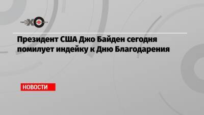 Джо Байден - Президент США Джо Байден сегодня помилует индейку к Дню Благодарения - echo.msk.ru - США - Вашингтон - шт. Индиана
