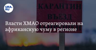 Власти ХМАО отреагировали на африканскую чуму в регионе - ura.news - Сургут - Югра