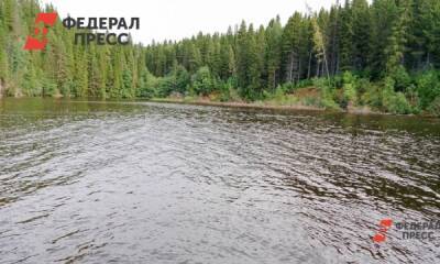 Владимир Путин - Евгений Куйвашев - Путин посмертно наградил свердловчанку, спасшую мать с ребенком - fedpress.ru - Россия - Свердловская обл. - Дегтярск