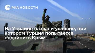 Владимир Путин - Дмитрий Песков - Александр Кочетков - Эксперт Кочетков: Турция может поддержать Украину в возможной войне с Россией ради Крыма - ria.ru - Москва - Россия - США - Украина - Киев - Крым - Англия - Турция - Польша