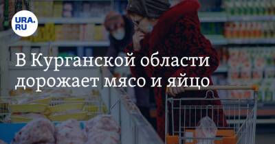 В Курганской области дорожает мясо и яйцо - ura.news - Курганская обл.