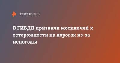 В ГИБДД призвали москвичей к осторожности на дорогах из-за непогоды - ren.tv - Москва