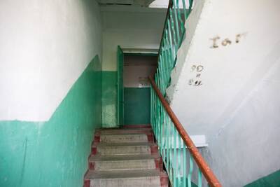 В Петербурге на 10-летнюю девочку в парадной напал педофил - znak.com - Санкт-Петербург - р-н. Приморский