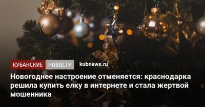 Новогоднее настроение отменяется: краснодарка решила купить елку в интернете и стала жертвой мошенника - kubnews.ru - Россия - Краснодарский край - Краснодар