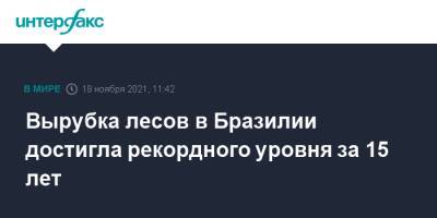 Вырубка лесов в Бразилии достигла рекордного уровня за 15 лет - interfax.ru - Москва - Бразилия