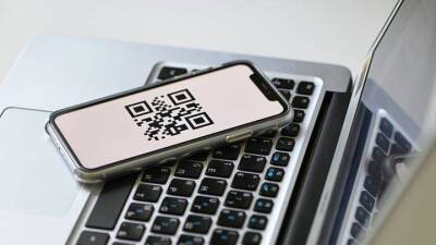 Белгородская область продляет систему QR-кодов для сферы услуг - vm.ru - Белгородская обл.