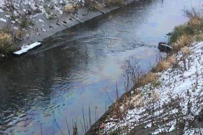 На поверхности Воронки в Туле появились масляные пятна - tula.mk.ru - Россия - Тула