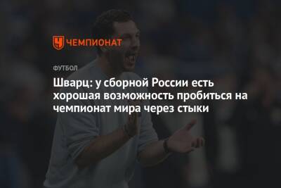 Константин Тюкавин - Сандро Шварц - Шварц: у сборной России есть хорошая возможность пробиться на чемпионат мира через стыки - championat.com - Москва - Россия - Испания - Хорватия