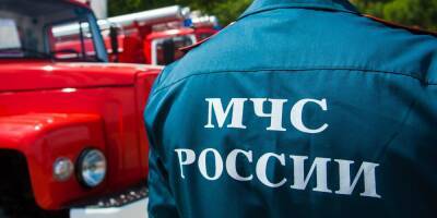 Замглавы и начальника отдела МЧС Москвы задержали по подозрению в получении взяток в 50 тысяч рублей - ruposters.ru - Москва