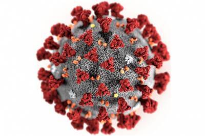 Ученый назвал имя первого в мире пациента с коронавирусом - rupor.info - шт. Аризона - Ухань - Экология