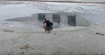 Мужчина в Электростали спас ребенка, провалившегося под лед - ren.tv - Электросталь