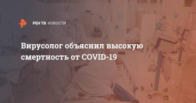 Анастасия Ракова - Анатолий Альтштейн - Вирусолог объяснил высокую смертность от COVID-19 - ren.tv - Москва