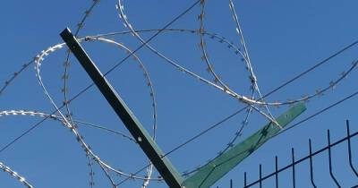 В Эстонии внезапная тревога: страна разворачивает заграждение на границе с РФ - dsnews.ua - Россия - Украина - Белоруссия - Эстония