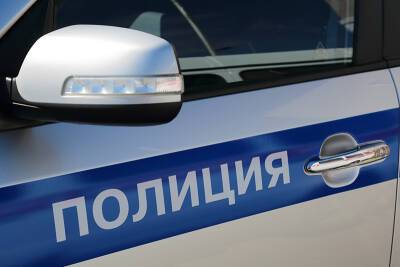 В Петербурге завели дело на полицейских после грубого задержания школьницы - tvc.ru - Санкт-Петербург