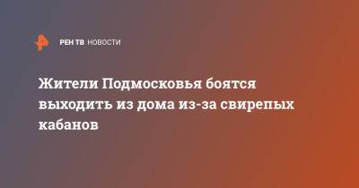 Жители Подмосковья боятся выходить из дома из-за свирепых кабанов - ren.tv - Московская обл.