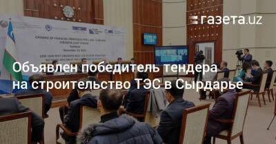 Объявлен победитель тендера на строительство ТЭС в Сырдарье - gazeta.uz - Китай - Южная Корея - США - Узбекистан - Франция - Япония - Саудовская Аравия - Эмираты - Катар