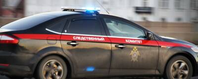 В Кыштовском районе НСО задержали мужчину по подозрению в убийстве пасынка - runews24.ru - Россия - Новосибирск - Новосибирская обл.