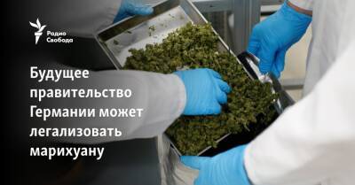 Будущее правительство Германии может легализовать марихуану - svoboda.org - Германия