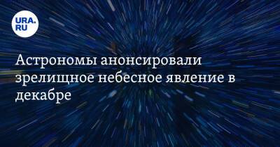 Астрономы анонсировали зрелищное небесное явление в декабре. «Видно 10 метеоров в секунду» - ura.news - Россия
