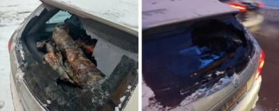 В Новосибирске таксист во время перепалки с другим водителем разбил заднее стекло машины - runews24.ru - Новосибирск - район Кировский, Новосибирск